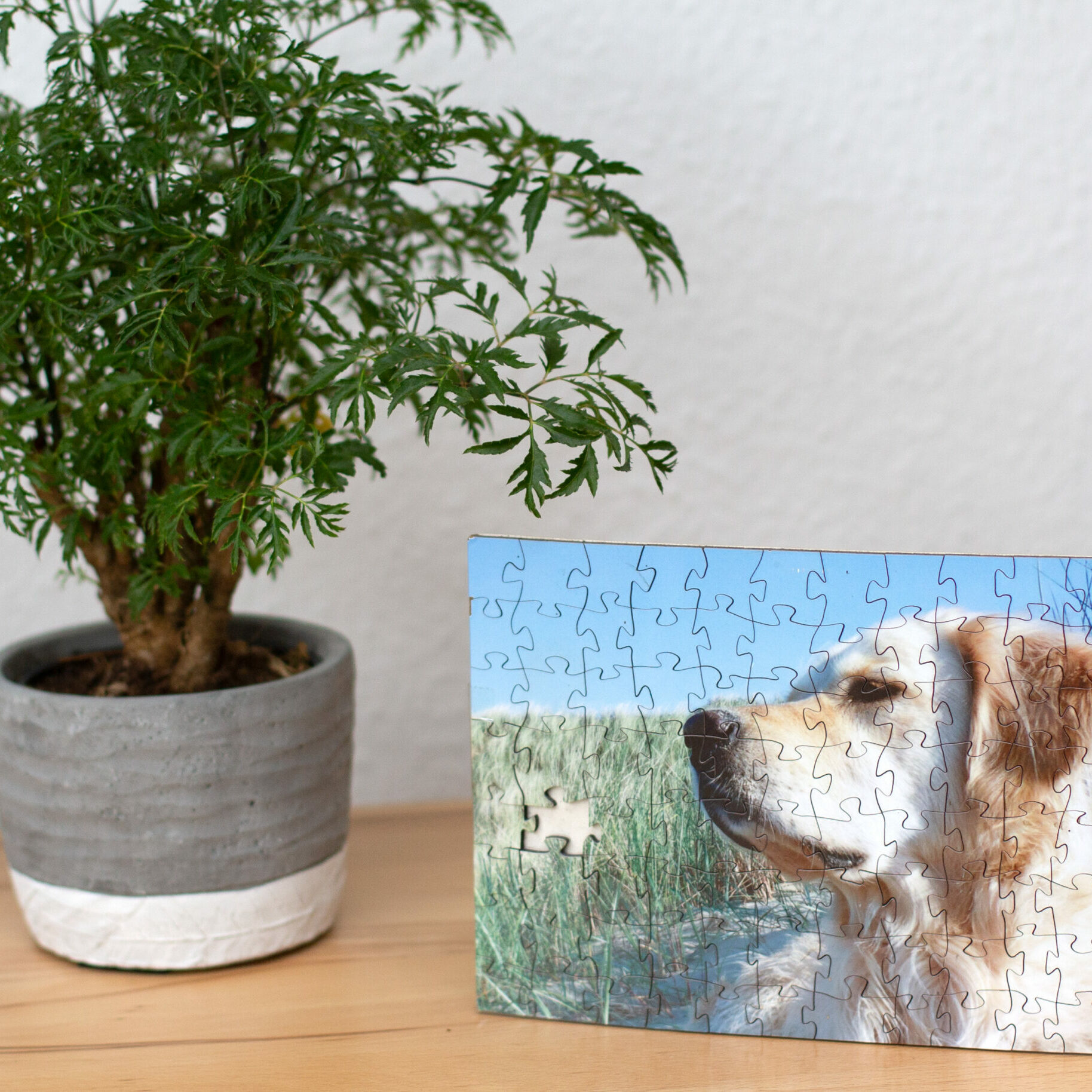 Fotomarkt Köln-Kalk, Fotogeschenke Köln, Fotokissen, Fotopuzzle, Fototassen,